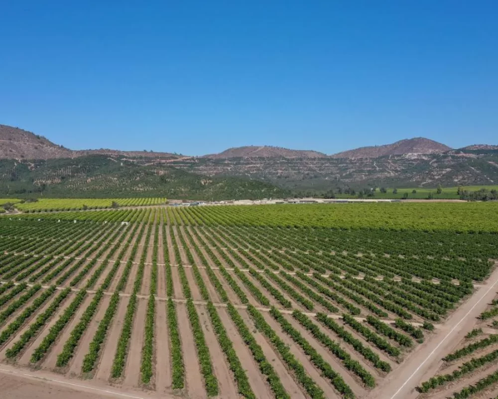 02-img-agroalto