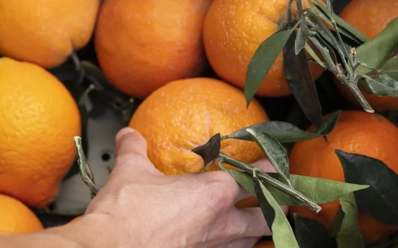 img-naranja-1